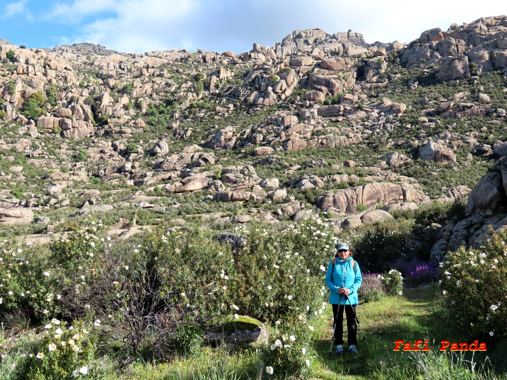 20240428 - LA PEDRIZA - Hueco del Paredón 685810