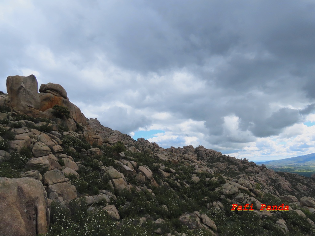 20240428 - LA PEDRIZA - Hueco del Paredón 687610