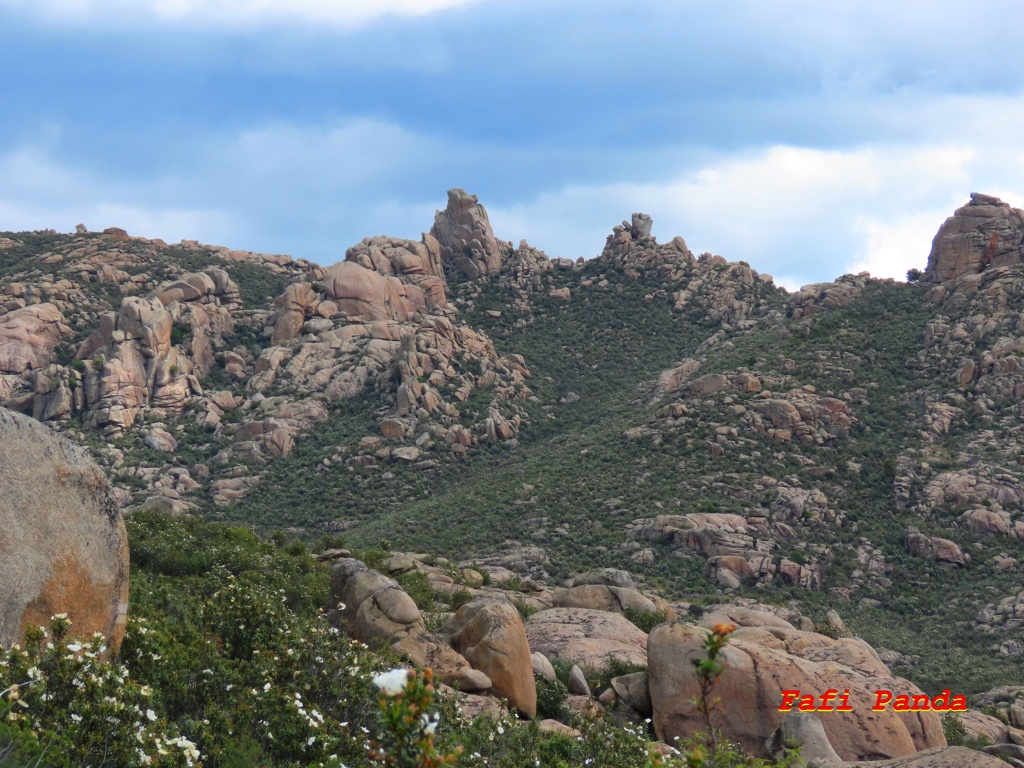 20240428 - LA PEDRIZA - Hueco del Paredón 688010