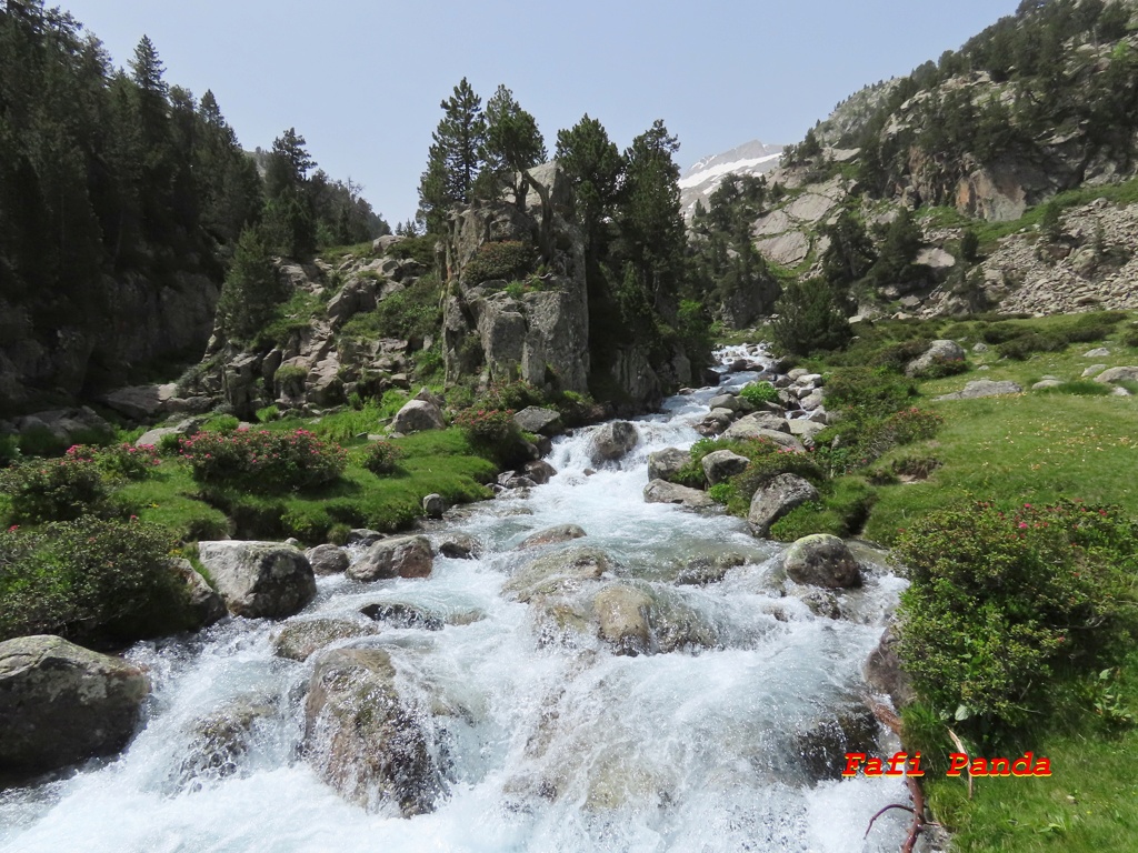 20240628 - UNOS DÍAS POR BENASQUE - IBÓN DE LA RENCLUSA 792510