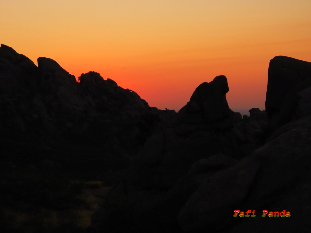 20240806 - LA PEDRIZA - Amanecer en la Gran Cañada 841210