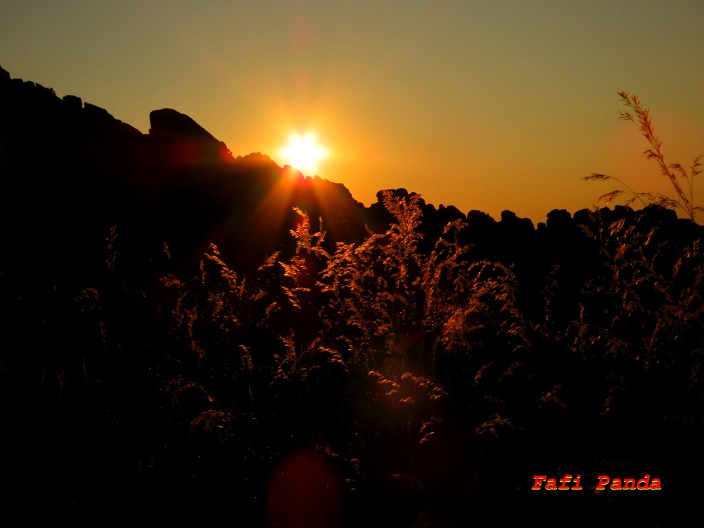 20240806 - LA PEDRIZA - Amanecer en la Gran Cañada 841910