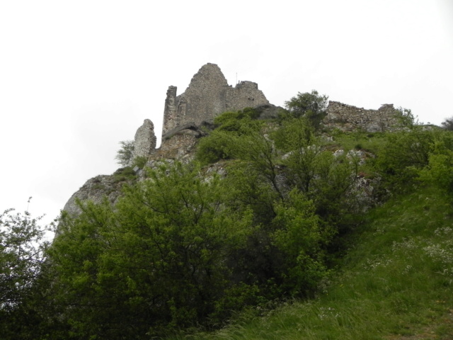 Château de Crussol Dscn5817