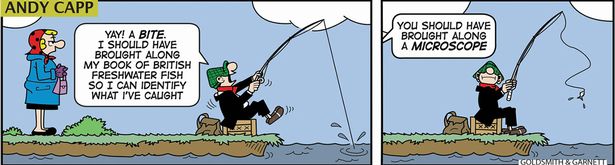 Andy Capp Daily - Page 17 0_and316