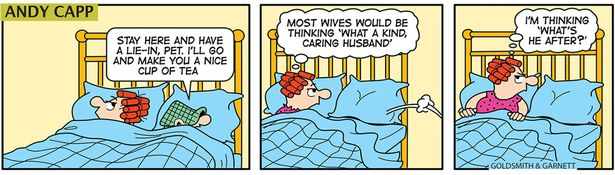 Andy Capp Daily - Page 21 0_and416