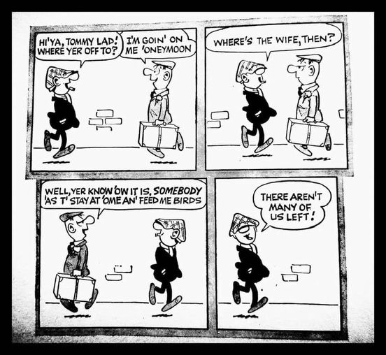 Andy Capp Daily - Page 29 A1711