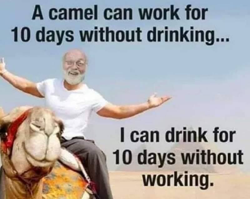 I only pass 'em on.... Camel10