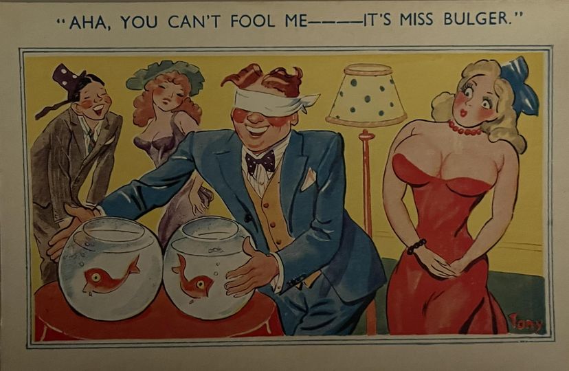 Saucy Postcard a-day. - Page 25 Q45610