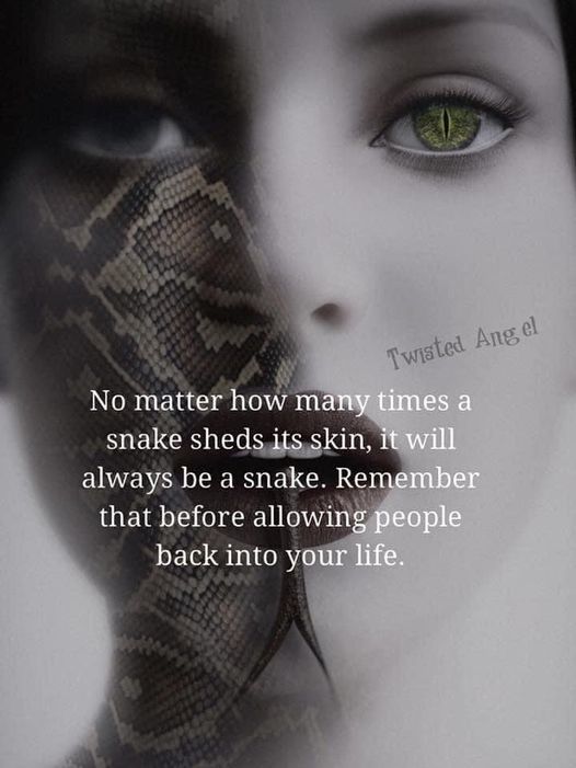 Quote for today... - Page 39 Snake_10