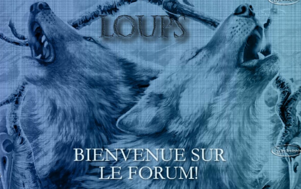 THEMES ANIMAUX Loups_10