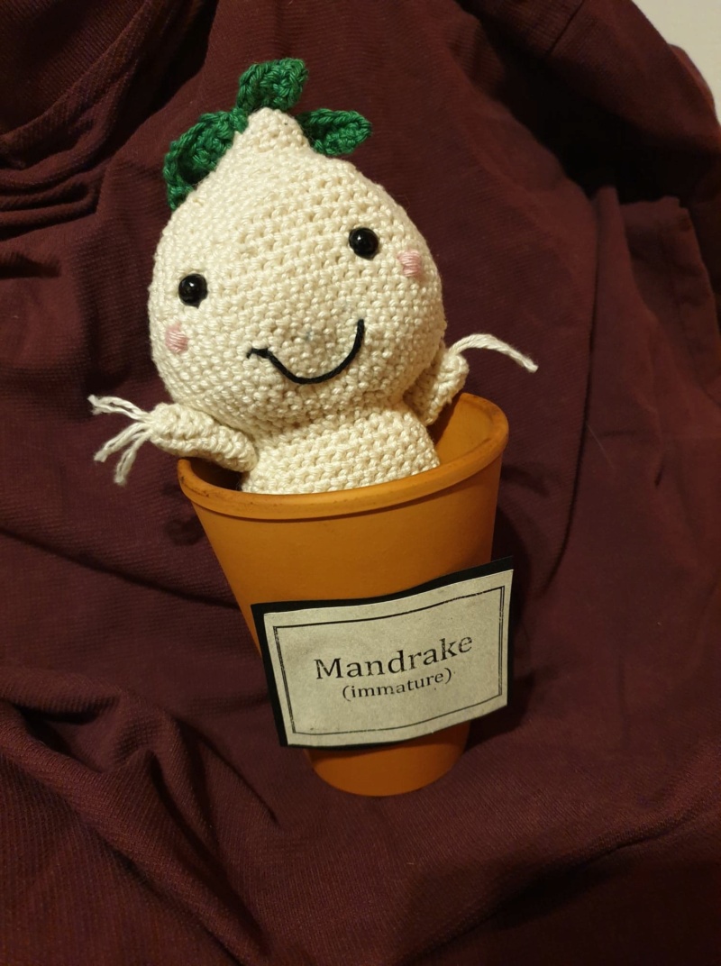 Le crochet de Mimi... Mandra10