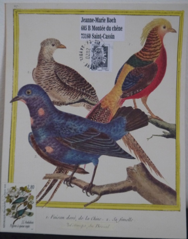 Galerie des Oiseaux - Page 3 2361_i10