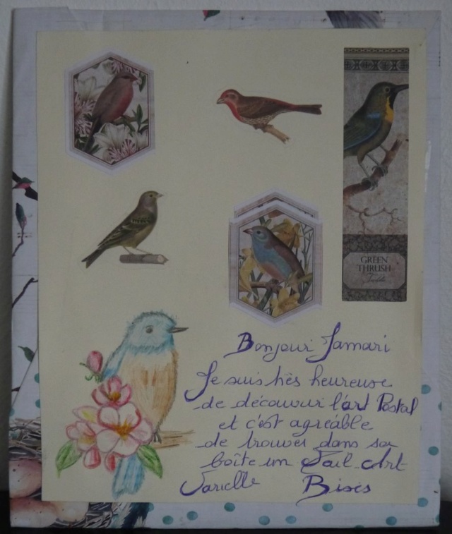 Galerie des Oiseaux - Page 9 3538_v10