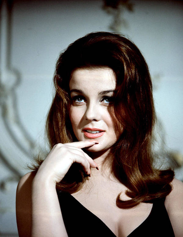 Ann Margret 13267010