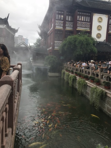 [TR] Shanghai & Hong Kong en juillet 2018 D3e39d10