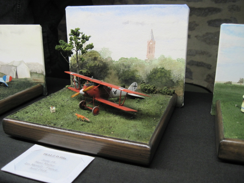 Retour sur expo Feytiat Img_6437