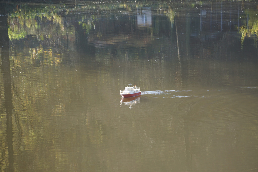 Heute am "Lake Seiler"  - Seite 17 Dsc03923