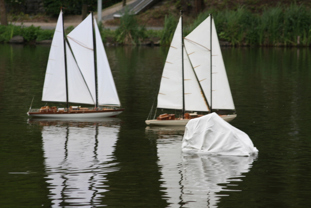 Heute am "Lake Seiler"  - Seite 3 Img_7411