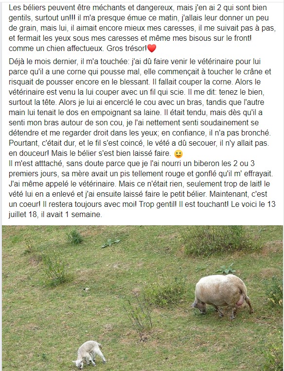 2019-2020, dans ma prairie. - Page 2 13_jui12