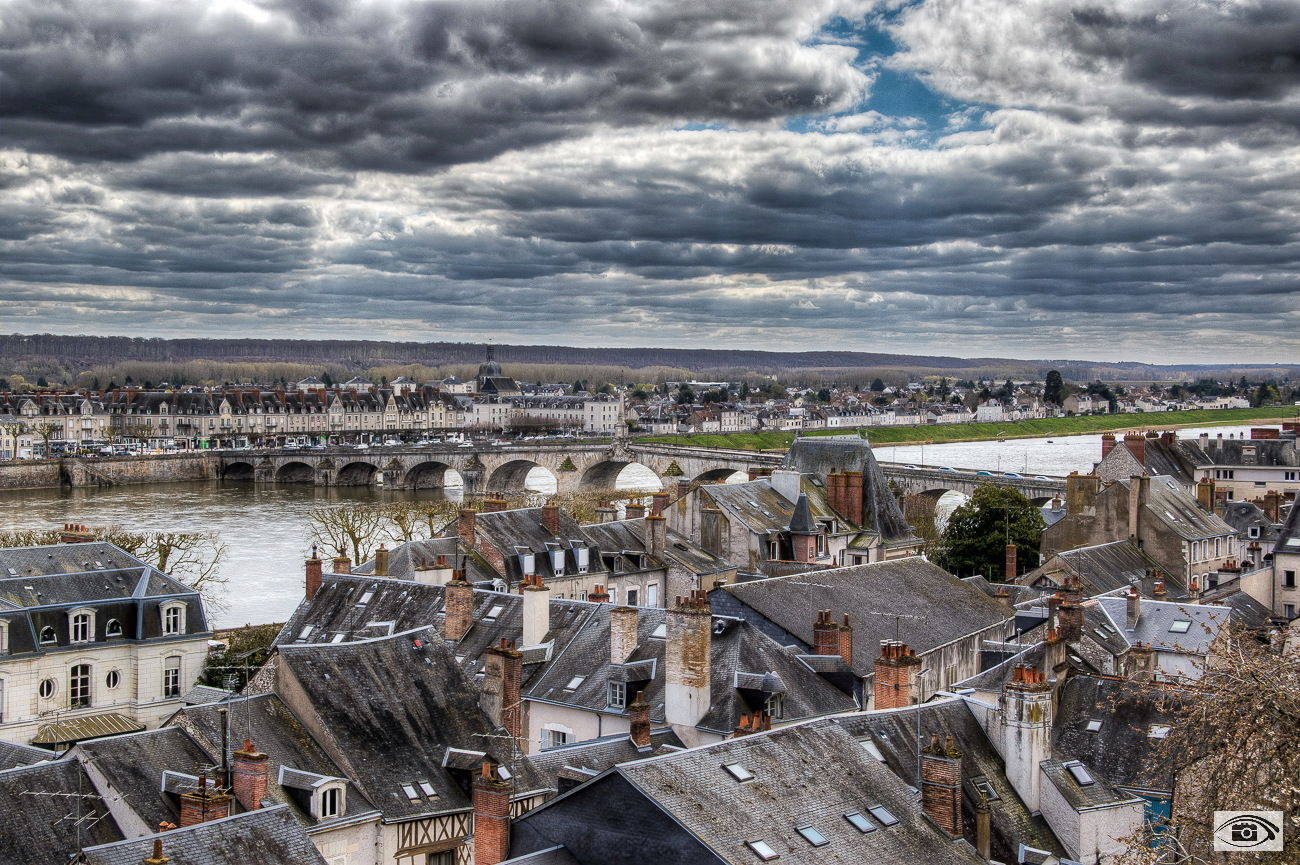 Les toits de Blois Chambo11