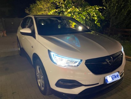 Ecco la mia Grandland x E783f410