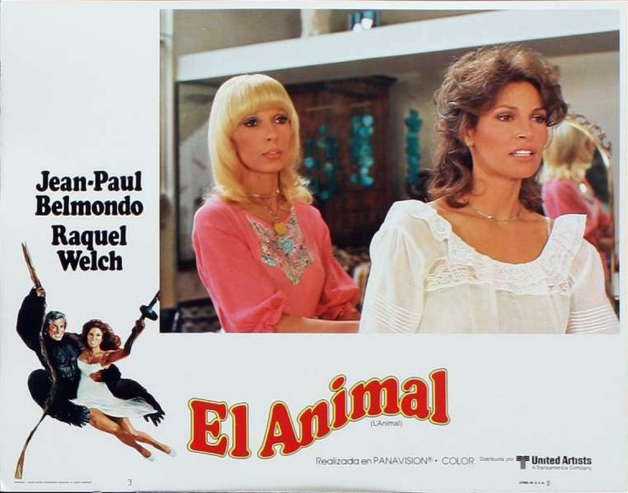 LES FILMS DE JOHNNY 'L'ANIMAL' 1977 0436