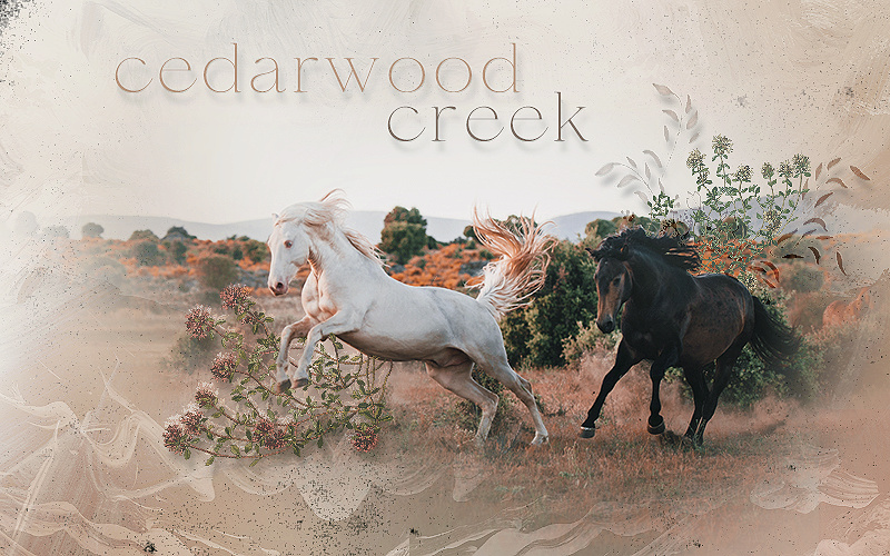 CEDARWOOD CREEK