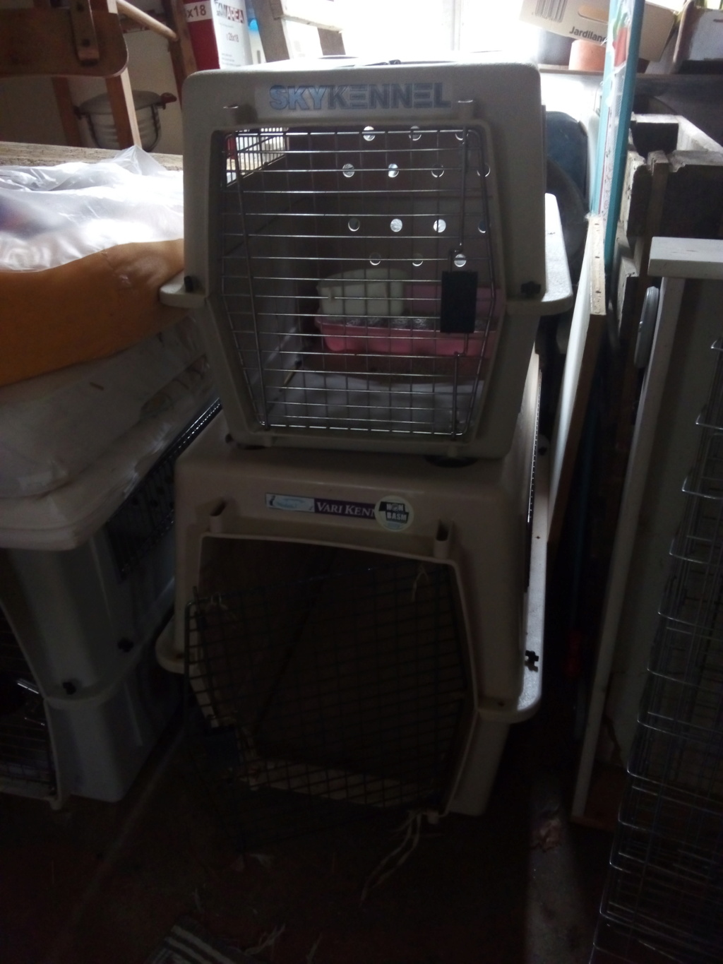Mettre un chat dans une caisse de transport - Page 2 Img_2212