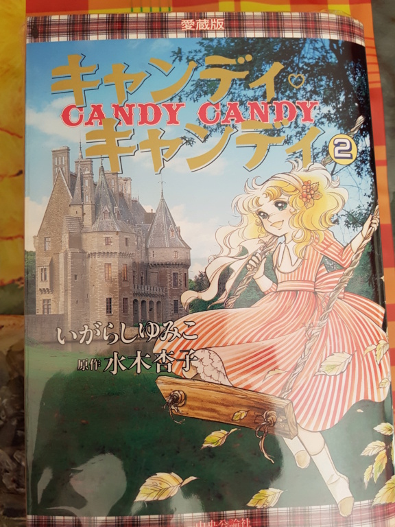 Candy Candy Manga Japonais  20210516