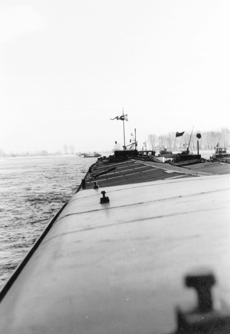 Rheinschifffahrt in den 1950-60ziger Jahren. Img70010