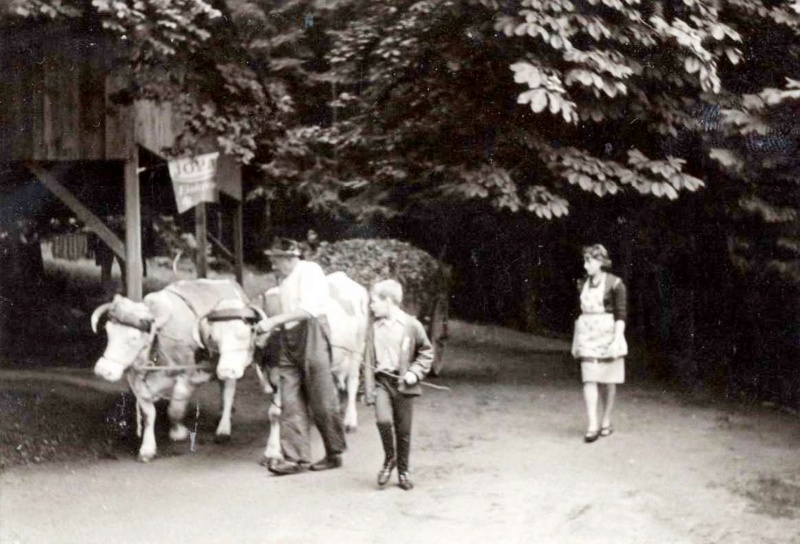 Historische Fahrzeuge aus privaten Fotoalben - Seite 2 Img77611