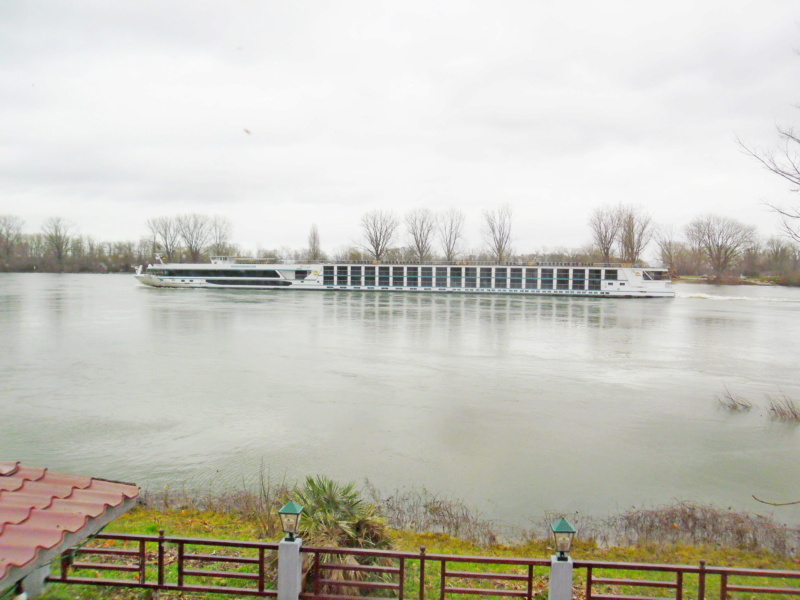 Was alles so auf dem Rhein schwimmt Sam_6614