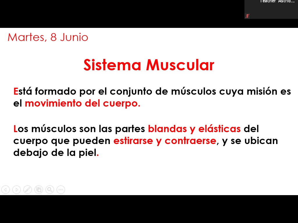 Sistema Muscular  Whats533