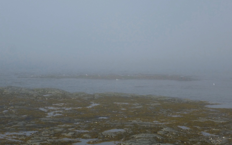 Itinéraire de voyage au Canada en Gaspésie 127-p113