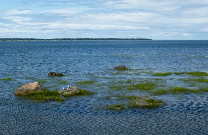 Que voir au Québec ? Visiter Montréal et Iles de la Madeleine 228-p111