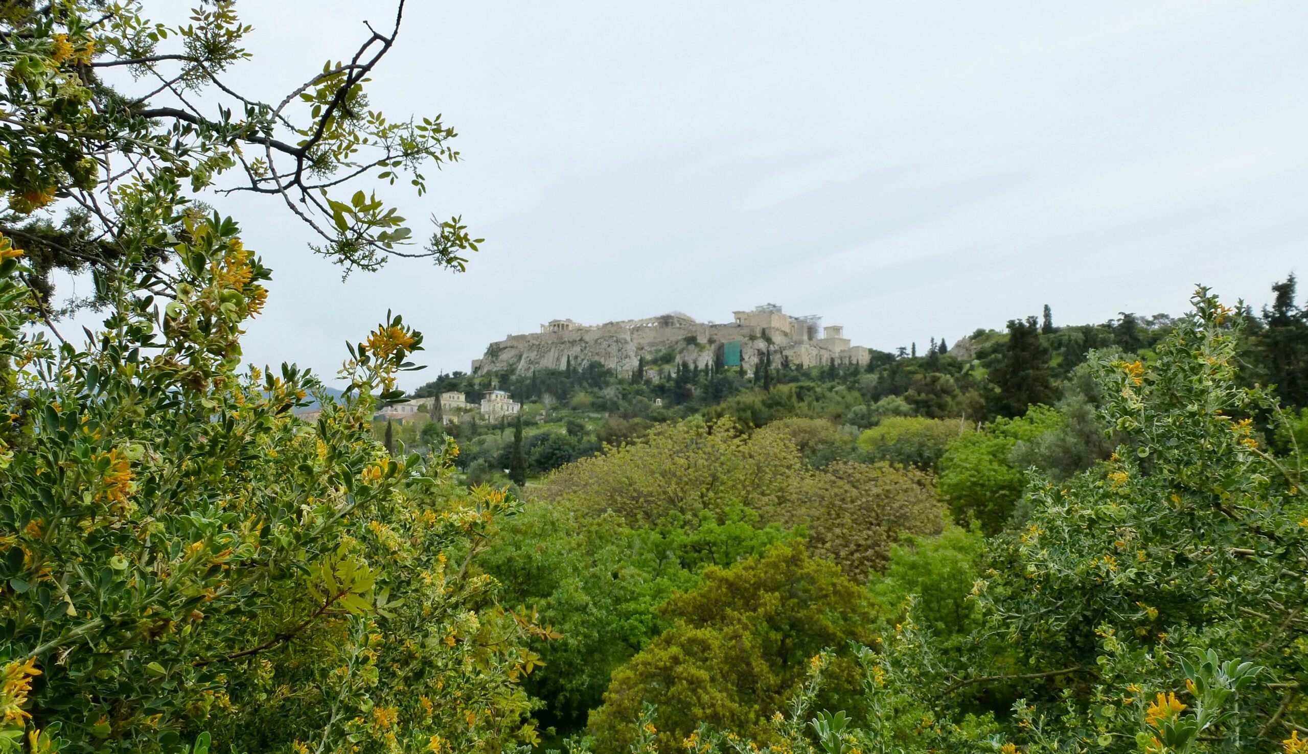 Mes carnets de voyage en Grèce: promenades athéniennes 36-p1017