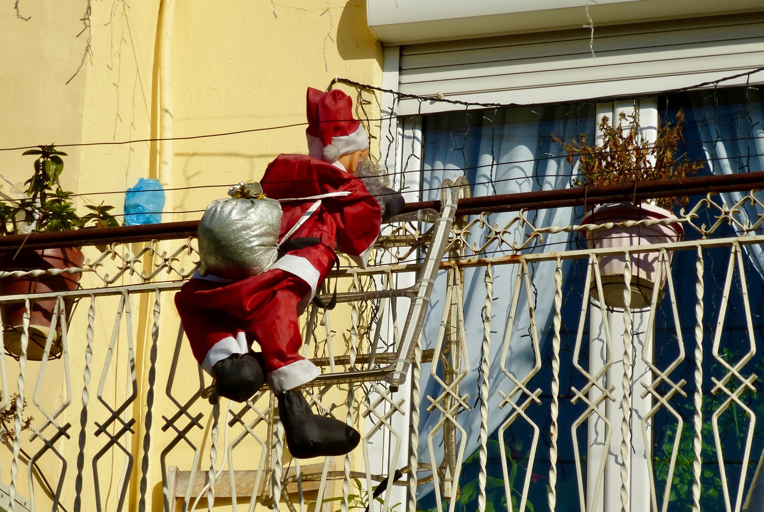 Concours photo décembre 2023 : Noël P1090310