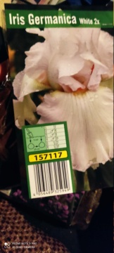 Ofertas semanales de jardinería en ALDI y LIDL - Página 2 Img_2031