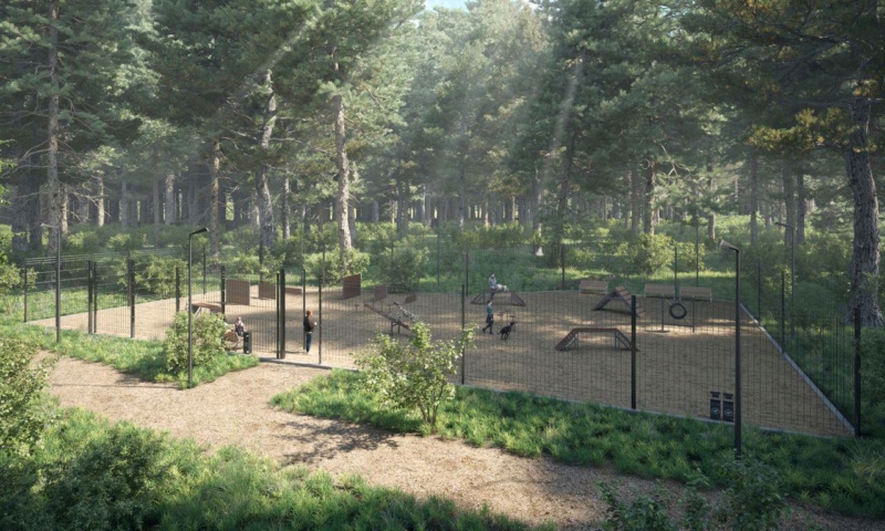В сентябре этого года в Чехове откроется обновленный Губернский лесопарк Photo104