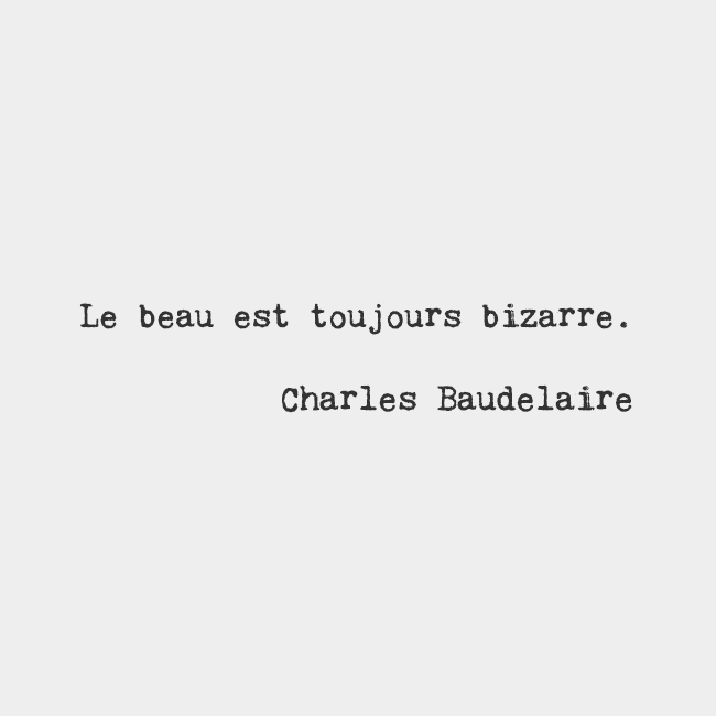 Charles Baudelaire 73009410