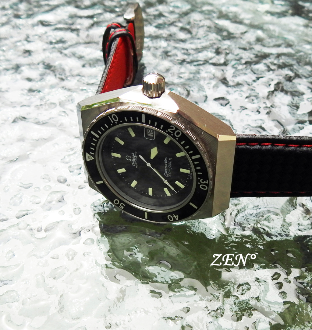 seamaster - Petite histoire d’une grande montre : L’Omega Seamaster 200 - SHOM Omega110