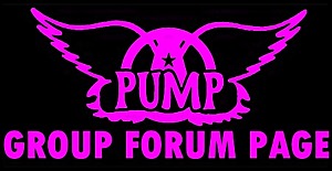 PUMP Aerosmith Tribute Pump_f10