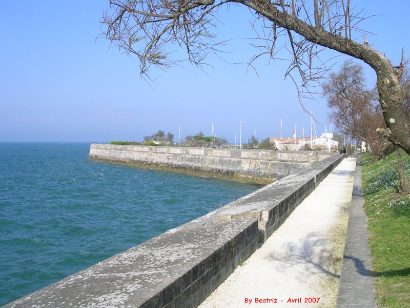 Île de Ré, Charentes-Maritimes, France Le_fro10