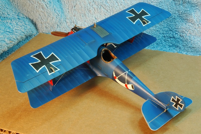 Pfalz D.IIIa Pfalz-12