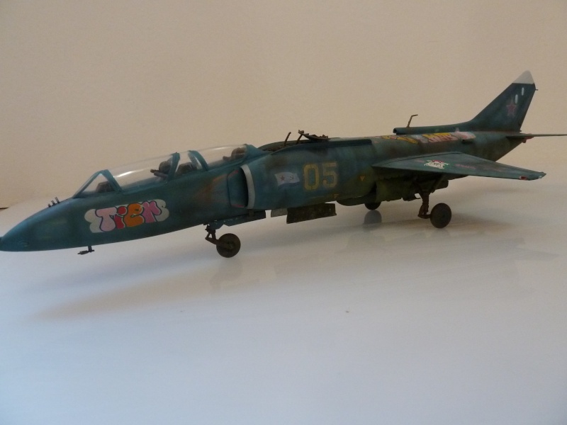 [Hobby Boss] Yak-38 U Forger 1/48 P1010512