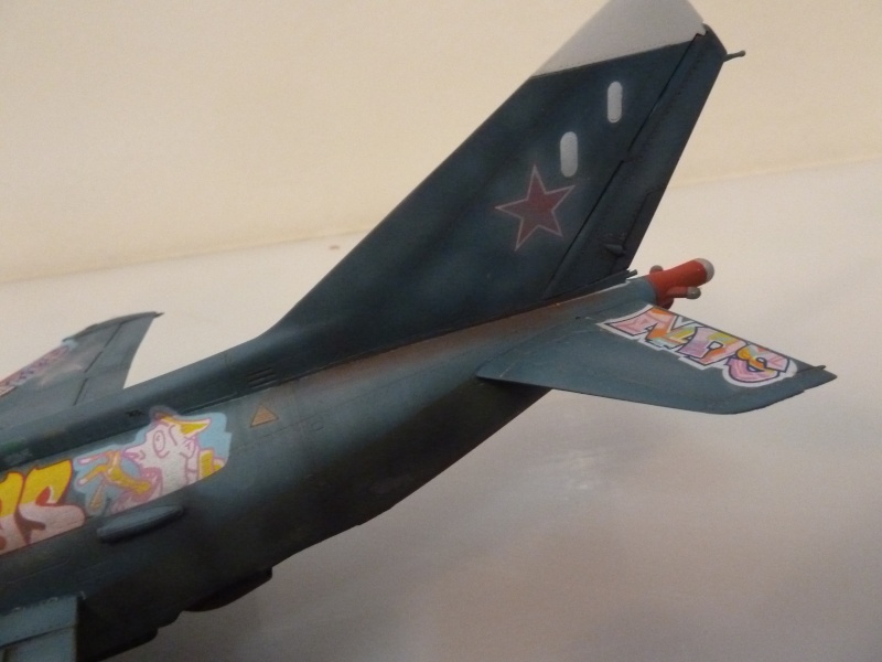 [Hobby Boss] Yak-38 U Forger 1/48 P1010515