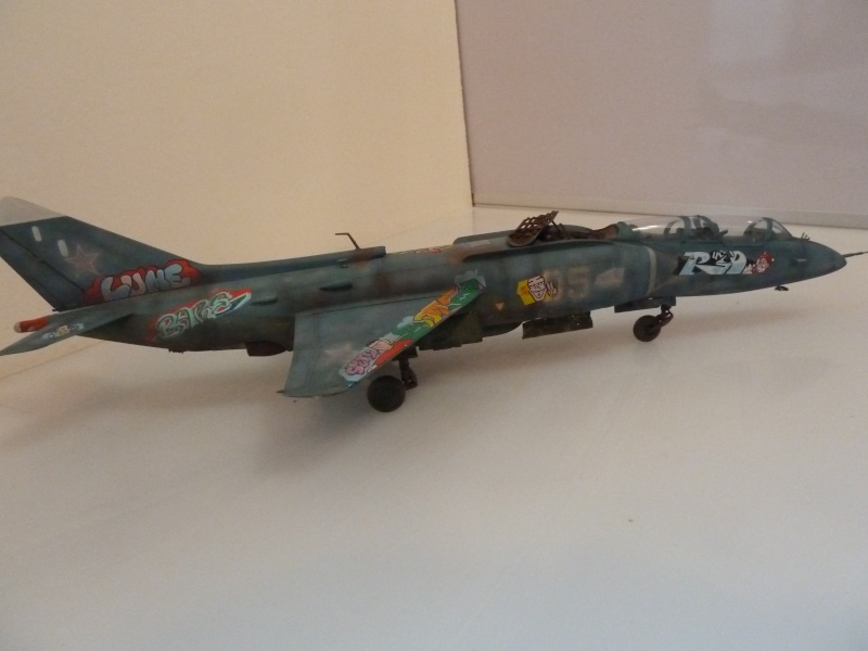 [Hobby Boss] Yak-38 U Forger 1/48 P1010519