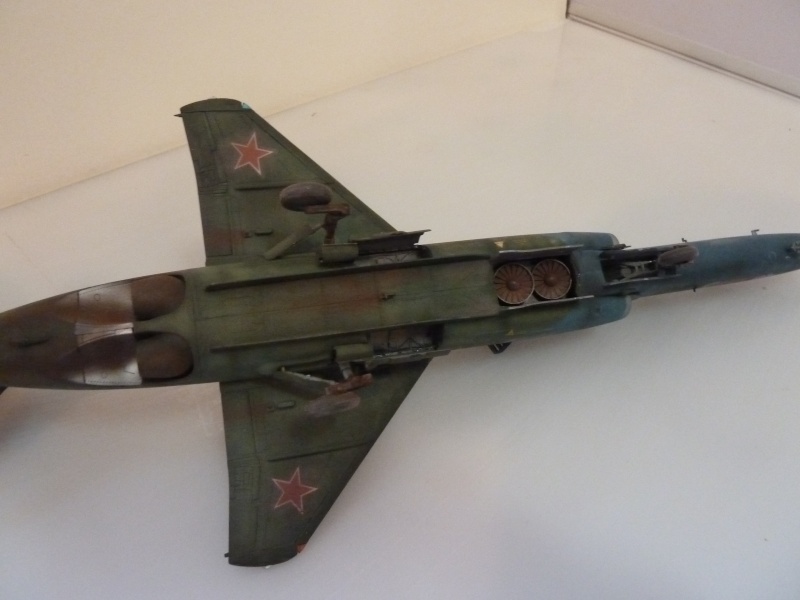 [Hobby Boss] Yak-38 U Forger 1/48 P1010523