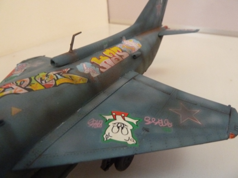 [Hobby Boss] Yak-38 U Forger 1/48 P1010526