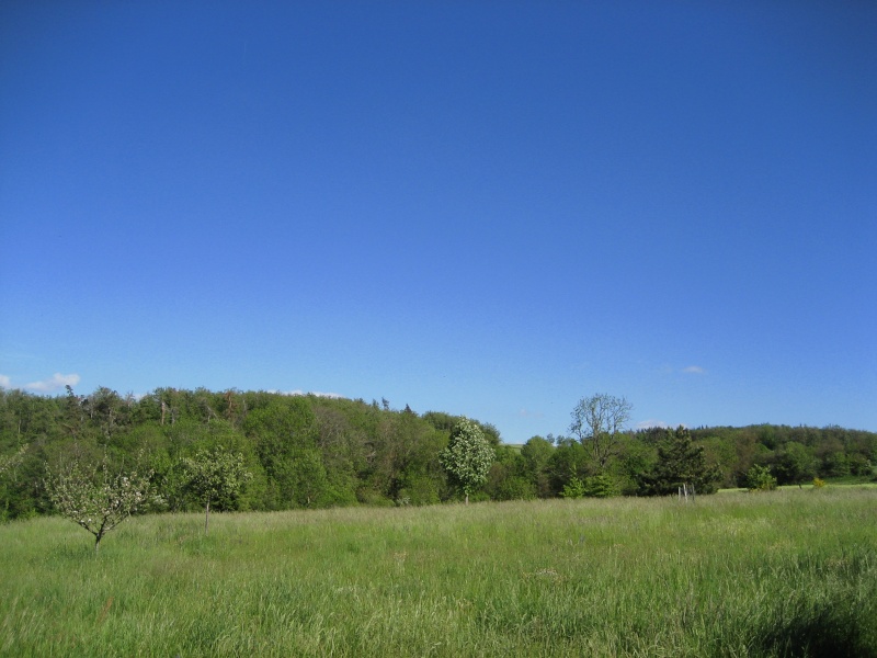 Combadine et ses proches environs au fil des saisons - Page 3 09050712